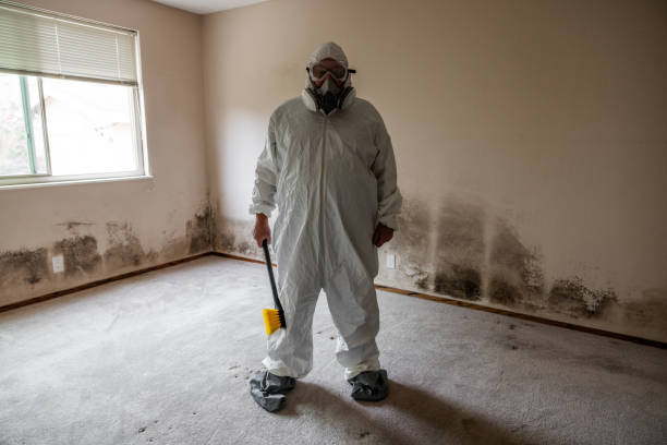 Best Residential Mold Remediation in Westport, WA